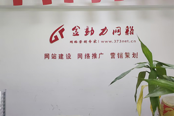 河南金動(dòng)力網(wǎng)絡(luò)推廣公司2025年比較好多網(wǎng)絡(luò)推廣方式有哪些？